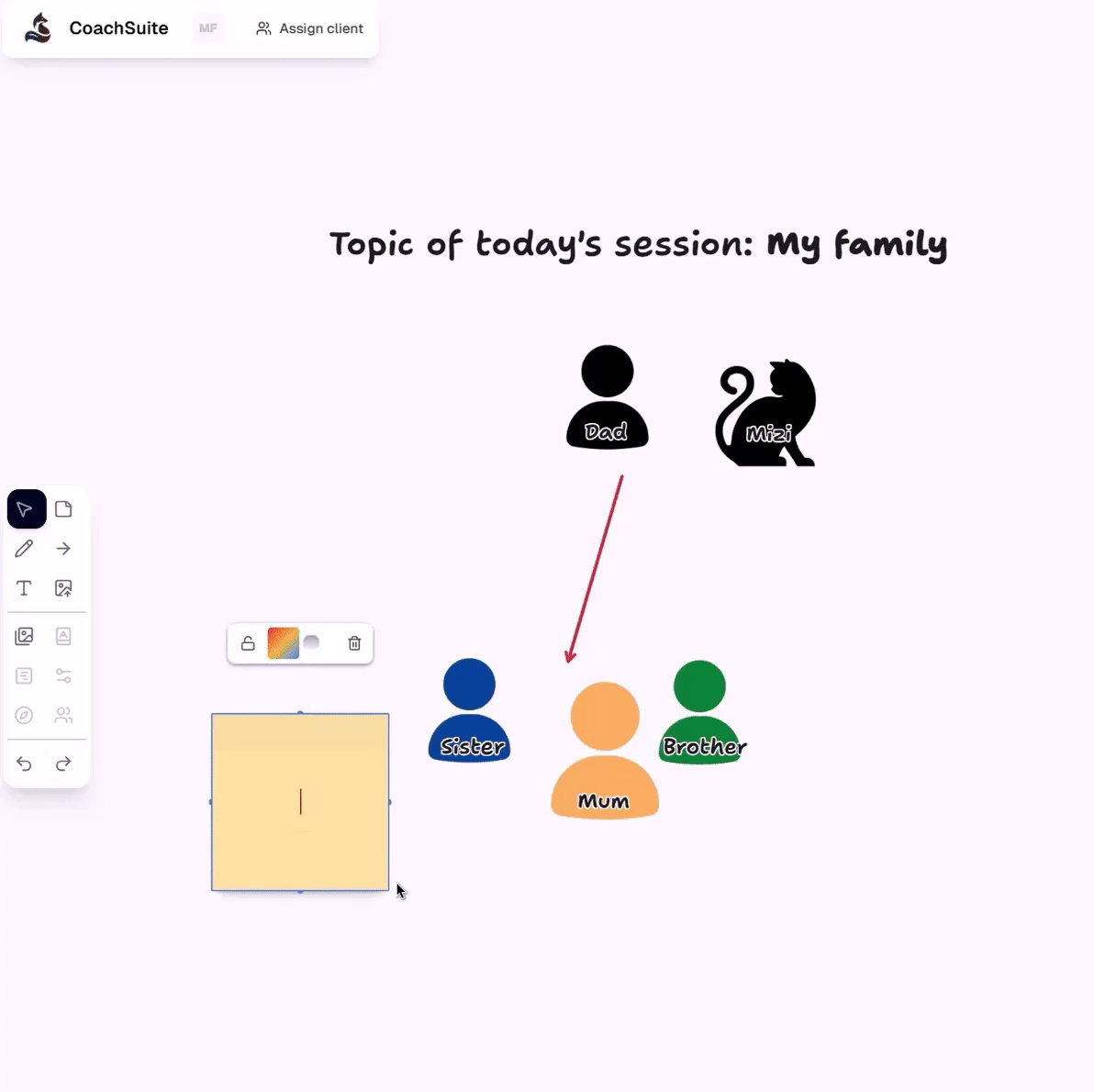 Constellation Coaching Tool Demonstration